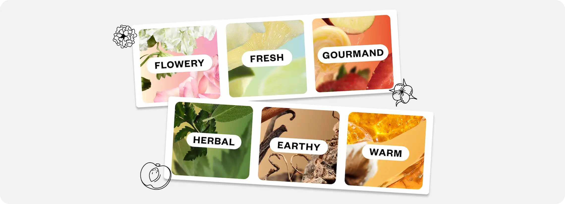 Fragrance families illustrated with flowery, fresh, gourmand, herbal, earthy, and warm scent categories